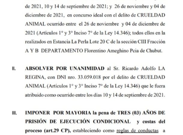 Tres años de prisión, decomiso de la retroexcavadora  y medidas de protección al ambiente en el caso del daño a los pingüinos en Punta Clara, Chubut.